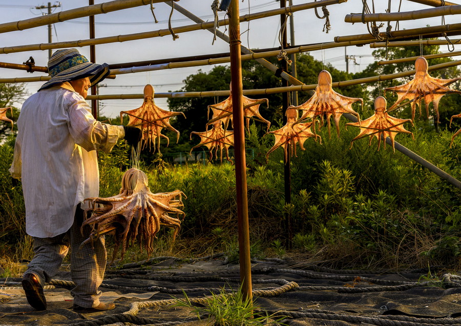 準グランプリ作品