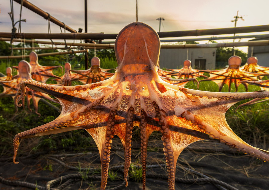 準グランプリ作品