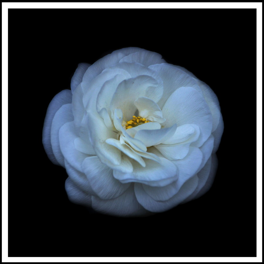 準グランプリ作品