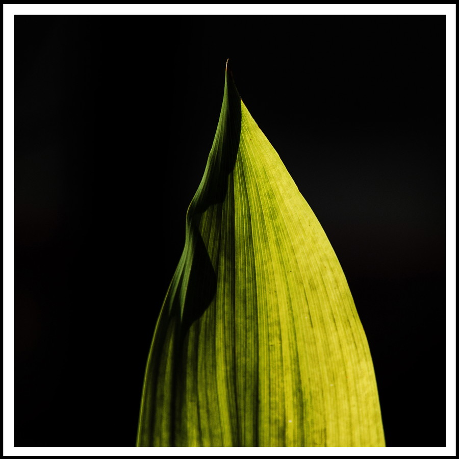 準グランプリ作品