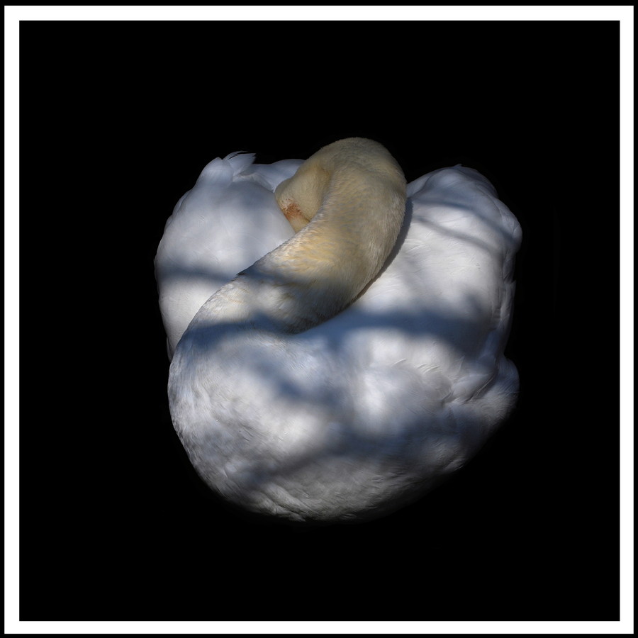 準グランプリ作品