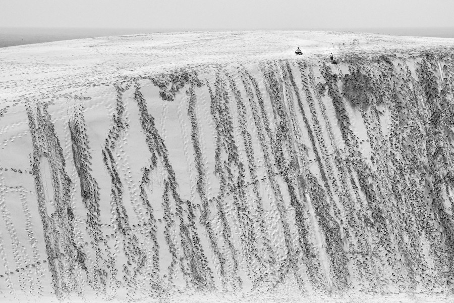 準グランプリ作品