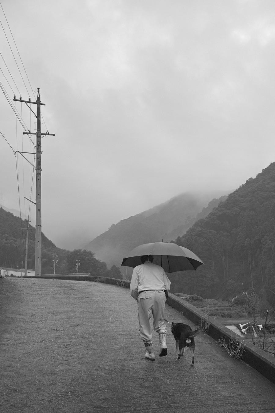 準グランプリ作品