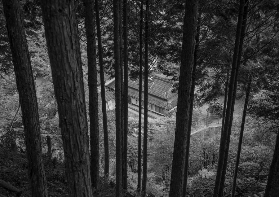 グランプリ作品