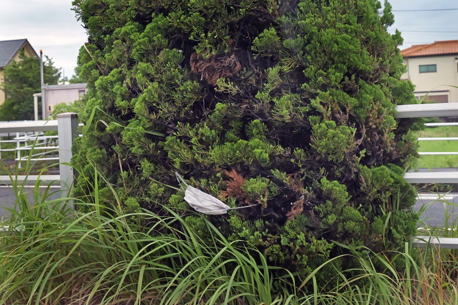 グランプリ作品