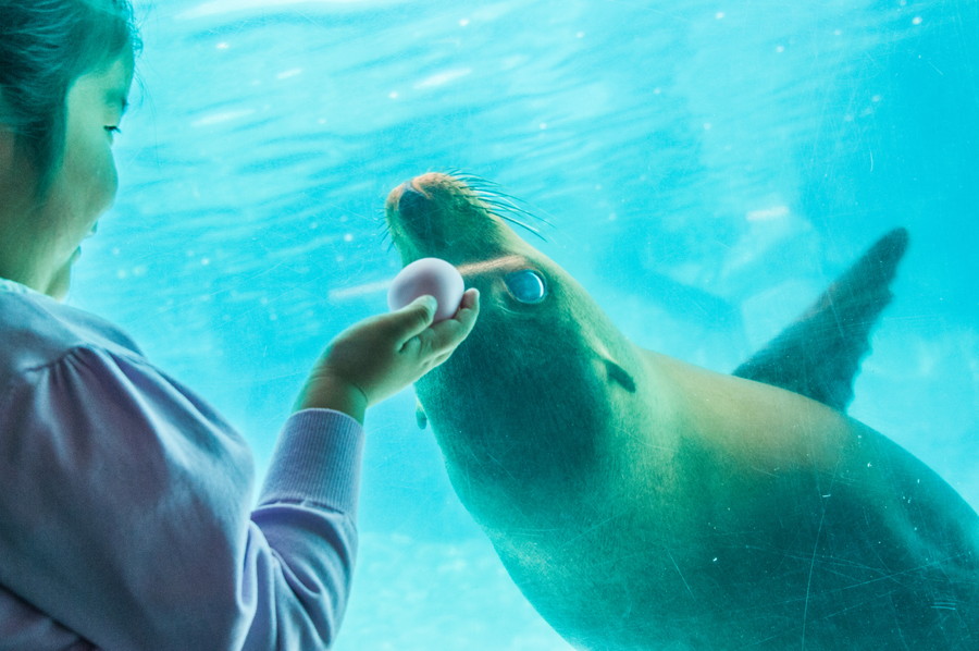 準グランプリ作品