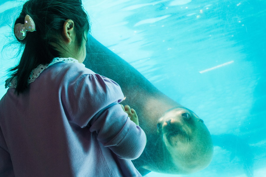 準グランプリ作品