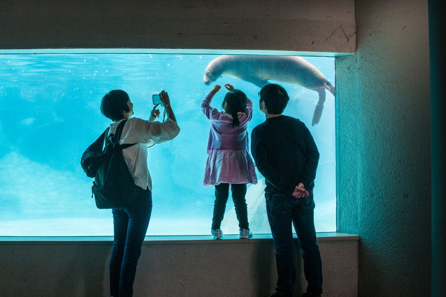 準グランプリ作品