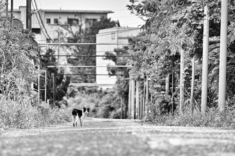 準グランプリ作品