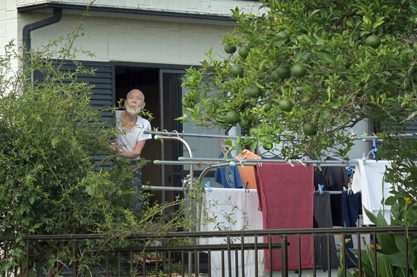 第4期 グランプリ「ブルーインパルス」