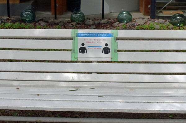 第6期 グランプリ「想い出になりますように」