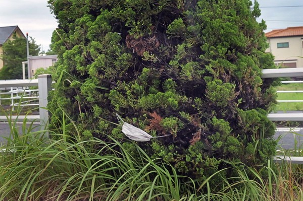 第6期 グランプリ「想い出になりますように」ROBITA&nbsp;様（三重県津市）