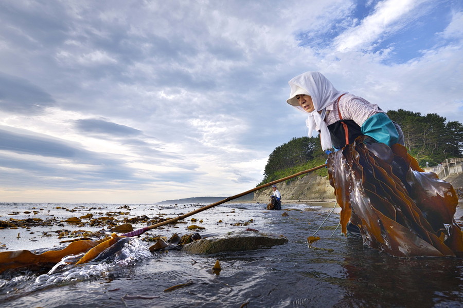 準グランプリ作品