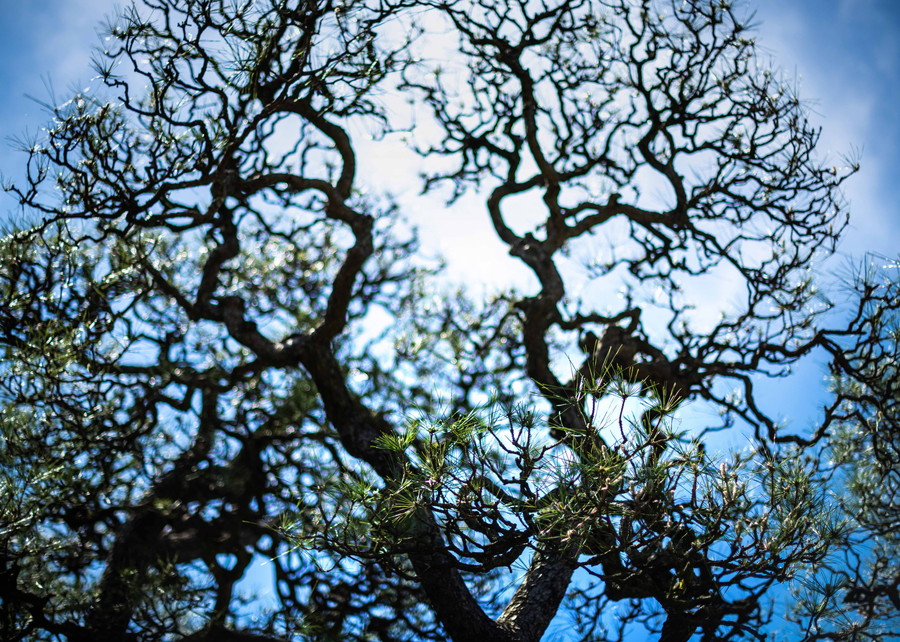 準グランプリ作品