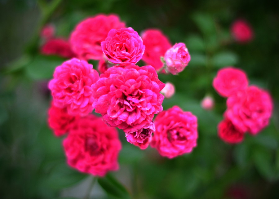 準グランプリ作品