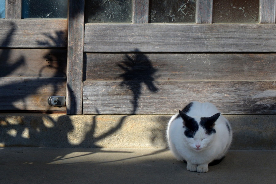 準グランプリ作品