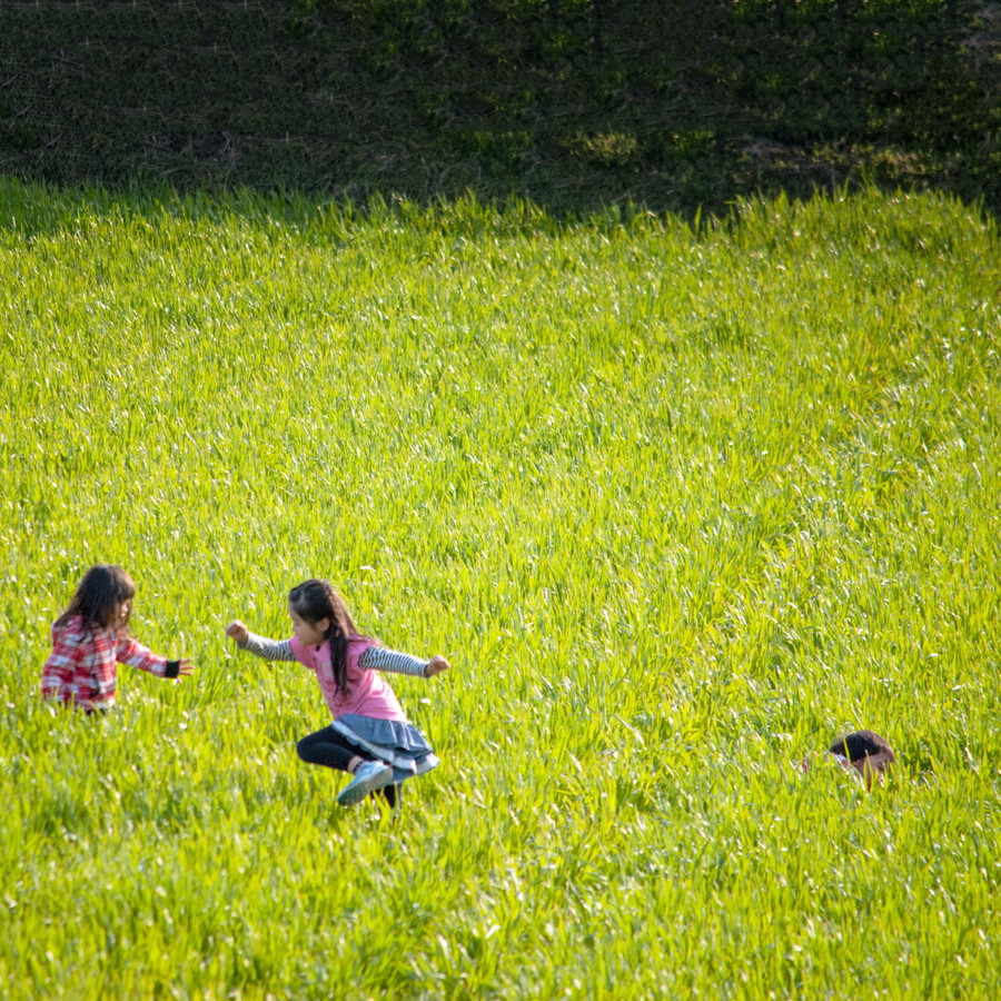 グランプリ作品