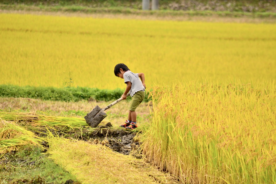 準グランプリ作品