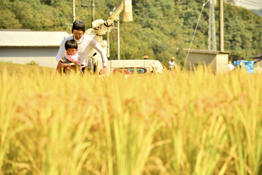 準グランプリ作品