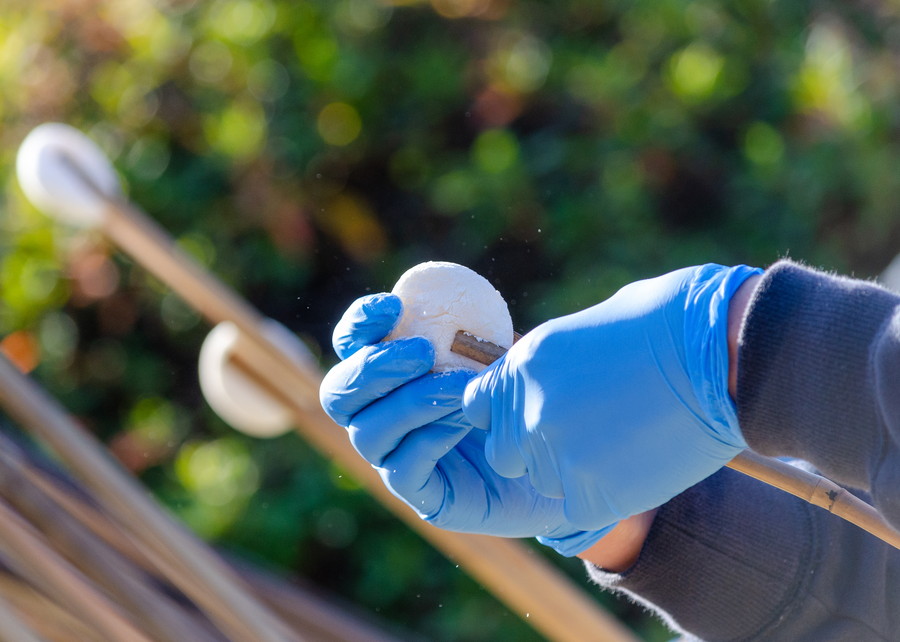 準グランプリ作品