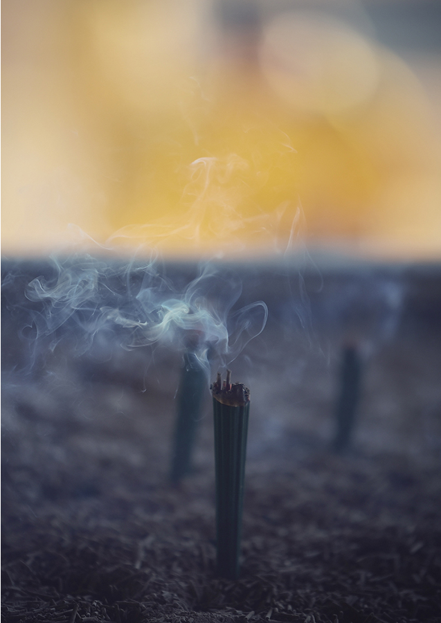 グランプリ作品