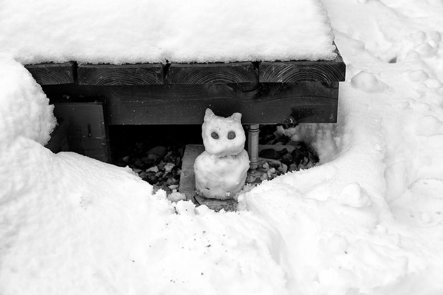 準グランプリ作品