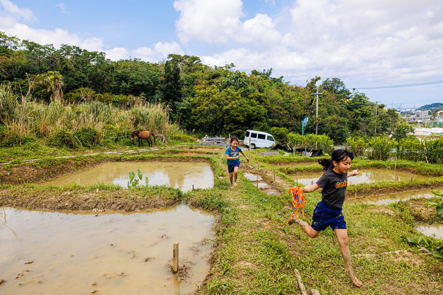 準グランプリ作品