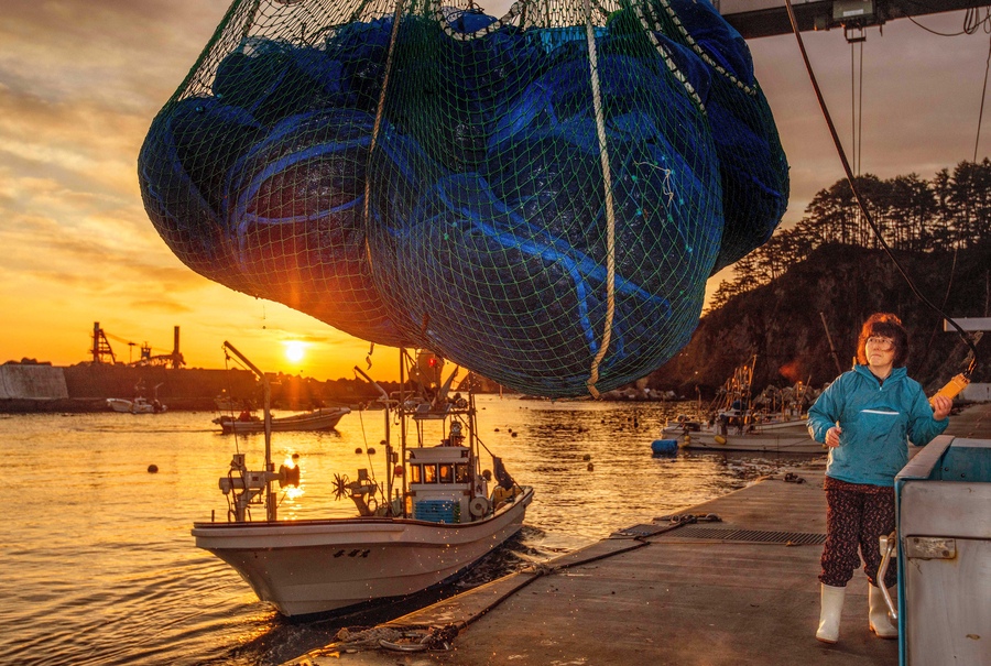 準グランプリ作品