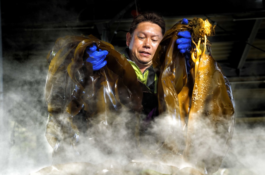 準グランプリ作品