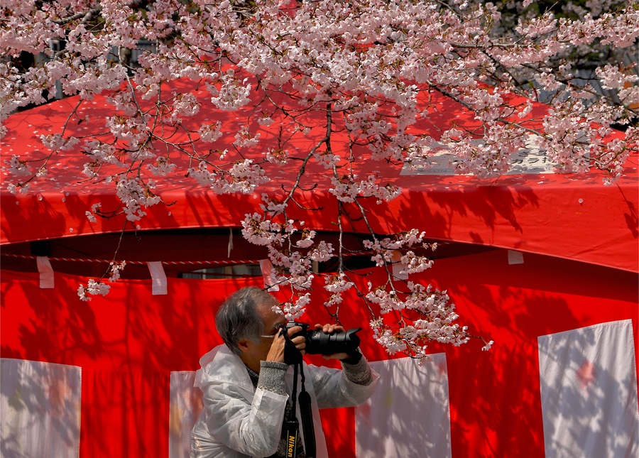 準グランプリ作品