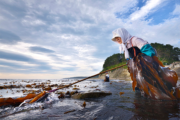 第1期 準グランプリ「台風一過」