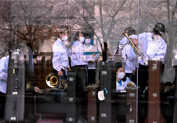 第5期 入選「桜ラプソディー」