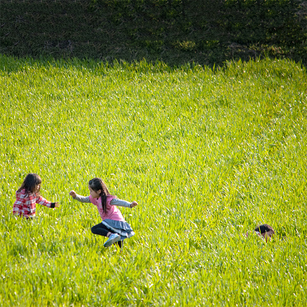 第3期 グランプリ「祭りの日」