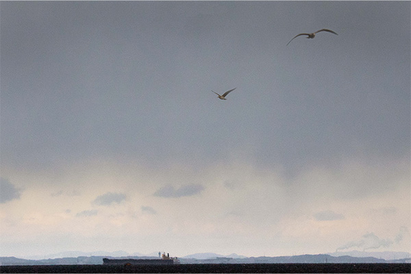 第2期 準グランプリ「冬日」