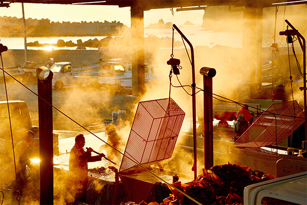 第6期 準グランプリ「朝の漁港」