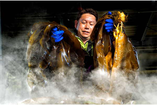 第6期 準グランプリ「朝の漁港」