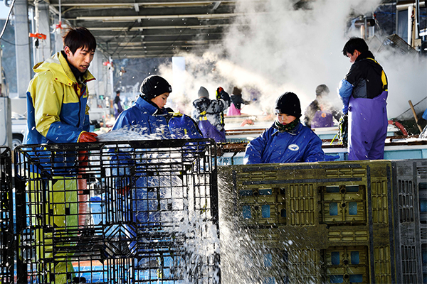 第6期 準グランプリ「朝の漁港」