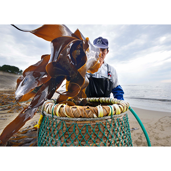 第3期 入選「夫婦」