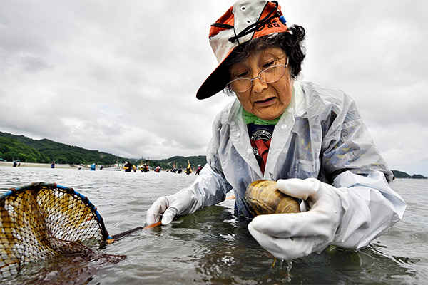 第4期 入選「ホッキ貝」
