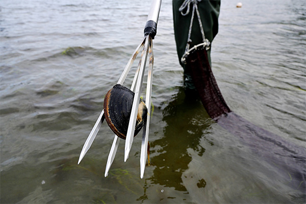 第4期 入選「ホッキ貝」