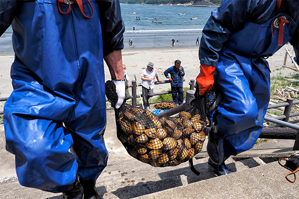 第4期 入選「ホッキ貝」