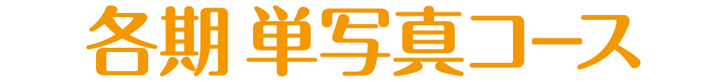 各期&nbsp;単写真コース