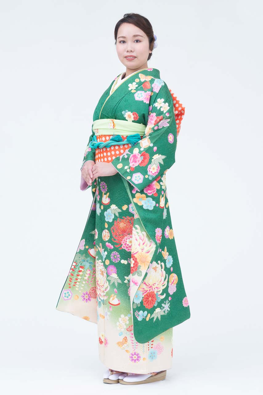 緑地大柄菊裾白