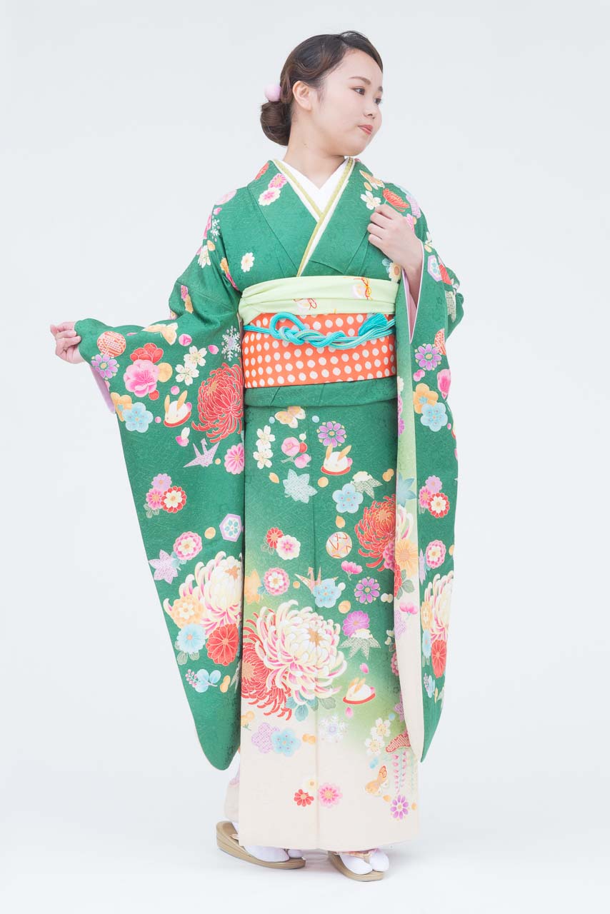 緑地大柄菊裾白