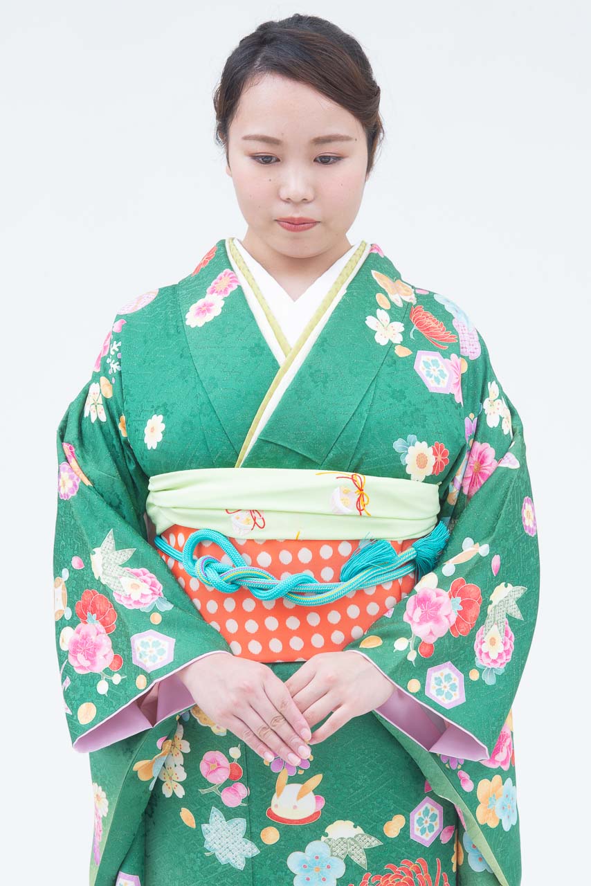 緑地大柄菊裾白