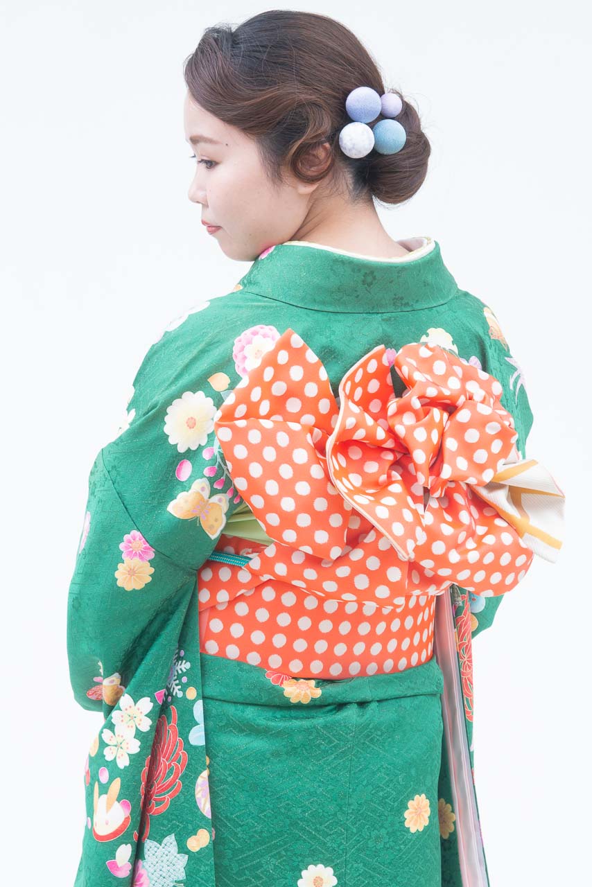 緑地大柄菊裾白