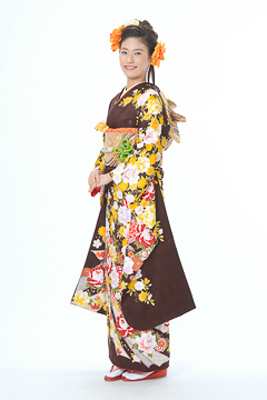 こげ茶　牡丹に熨斗