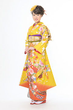 からし色　熨斗華