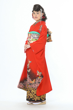 赤地袖下金牡丹