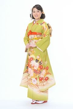 抹茶色に古典柄